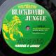 Blackboard Jungle : nouveau 45T ft. Kandee & Jahzz