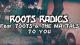Roots Radics feat. Toots & The Maytals - To You