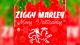 Ziggy Marley : une chanson de Noël anti-Vatican