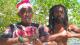 Lee Perry : 1er extrait de son album posthume avec Bob Riddim