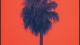 Roots Raid & Marina P livrent 'Deep Into The Vibe'