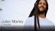 Julian Marley + Vanupié à Toulouse le 17 juin