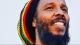 Journée 100% Ziggy Marley