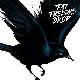 Fat Freddy's Drop : 'Blackbird' le clip
