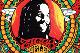 Ziggy Marley 'I Get Up'